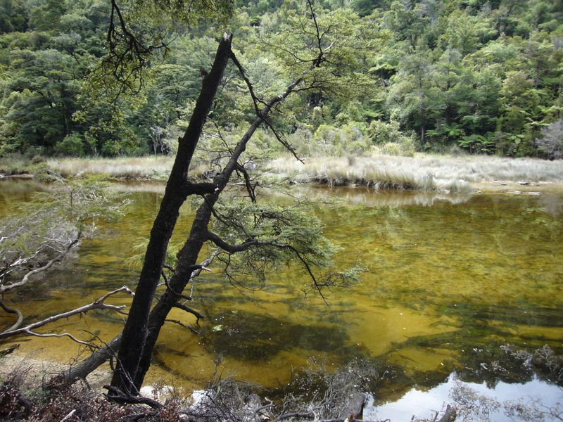 Travel - New Zealand - Abel Tasman National Park